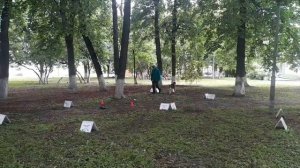 РО-3, Панарина Анна, Бриз, «Кубок Панды 2026 по Ралли Обидиенс онлайн»