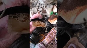 Собираюсь к бабушке