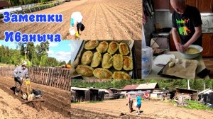Зразы - новый способ приготовления, а вот и посадка картошки.