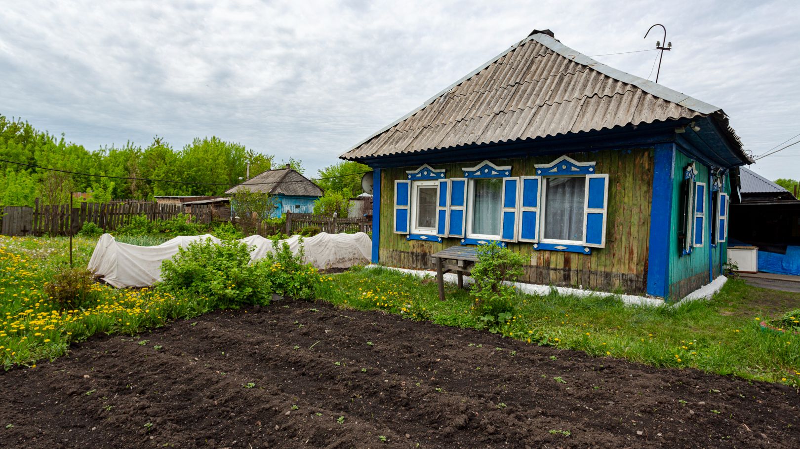 Садовая