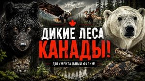 Родина черных волков и Кермодских медведей. Канада - Документальный фильм
