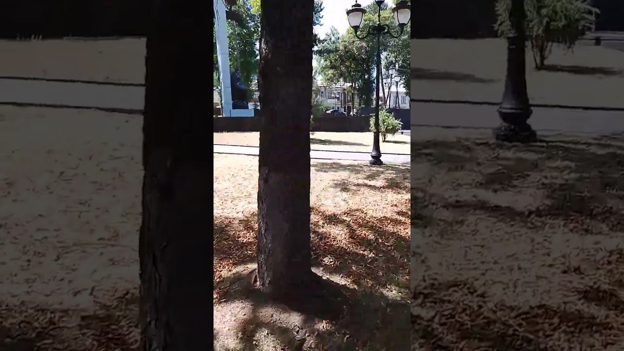 Кисловодск, памятник  "Скорбящей матери. Журавли. "
