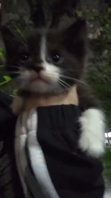 cute смотреть онлайн
