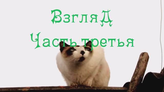 ВЗГЛЯД. Часть третья
