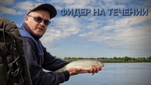 Рыбалка 2026. Ловля фидером на течении. Поклевки на фидер