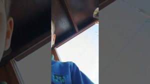 1000004536.mp4
