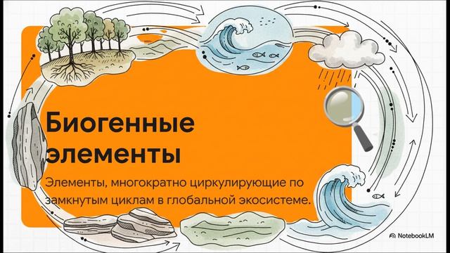 Биология 11 класс § 22 Круговорот веществ и превращение энергии в экосистеме