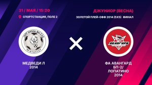 Финал золотого плей-офф 2014  Медведи Л 2014 - ФА Авангард БП-2/Лопатино 2014