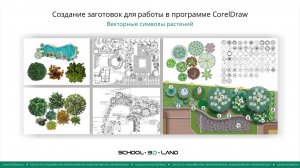 CD5. Создание заготовок для CorelDRAW. Векторные растения. Часть 1