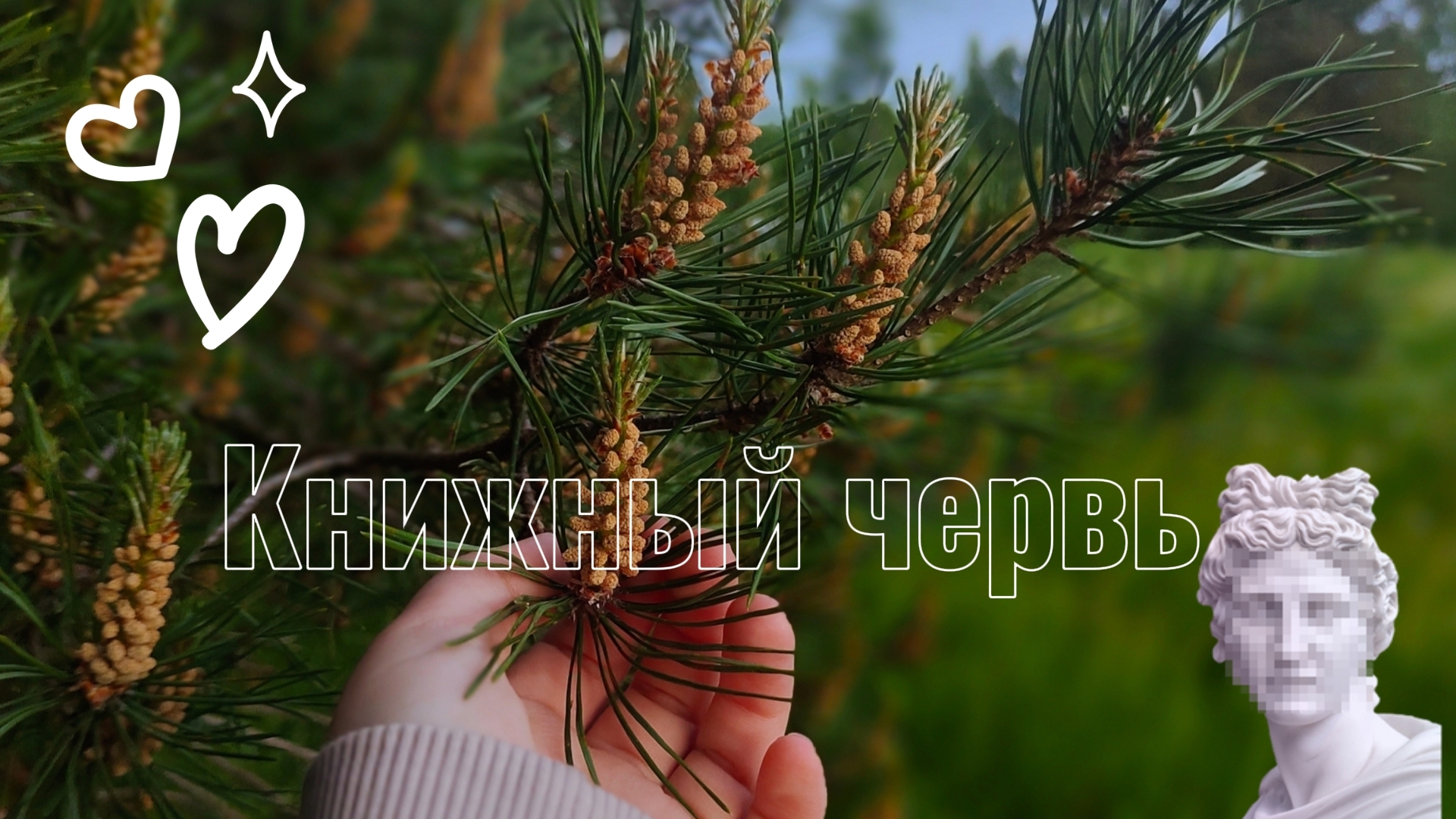 Книжный червь  обзор на все мои книги