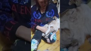 Купила манеж но он оказался очень большой