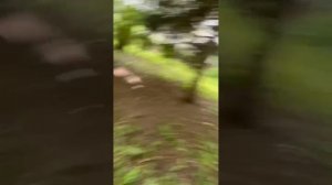 СКИНВОЛКЕРЫ И СМАЙЛ ДОГ!скинволкеры и смайл дог напали на нас.1 часть