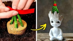 ГЕНИАЛЬНЫЕ ИДЕИ ДЛЯ ЛЮБИТЕЛЕЙ РАСТЕНИЙ СОВЕТЫ ПО САДОВОДСТВУ
