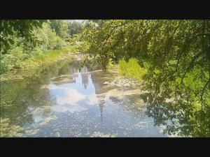 Ботанический сад МГУ. 21 июня 2023