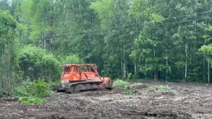 Плановые работы на ЛЭП: безопасность и надёжность электроснабжения