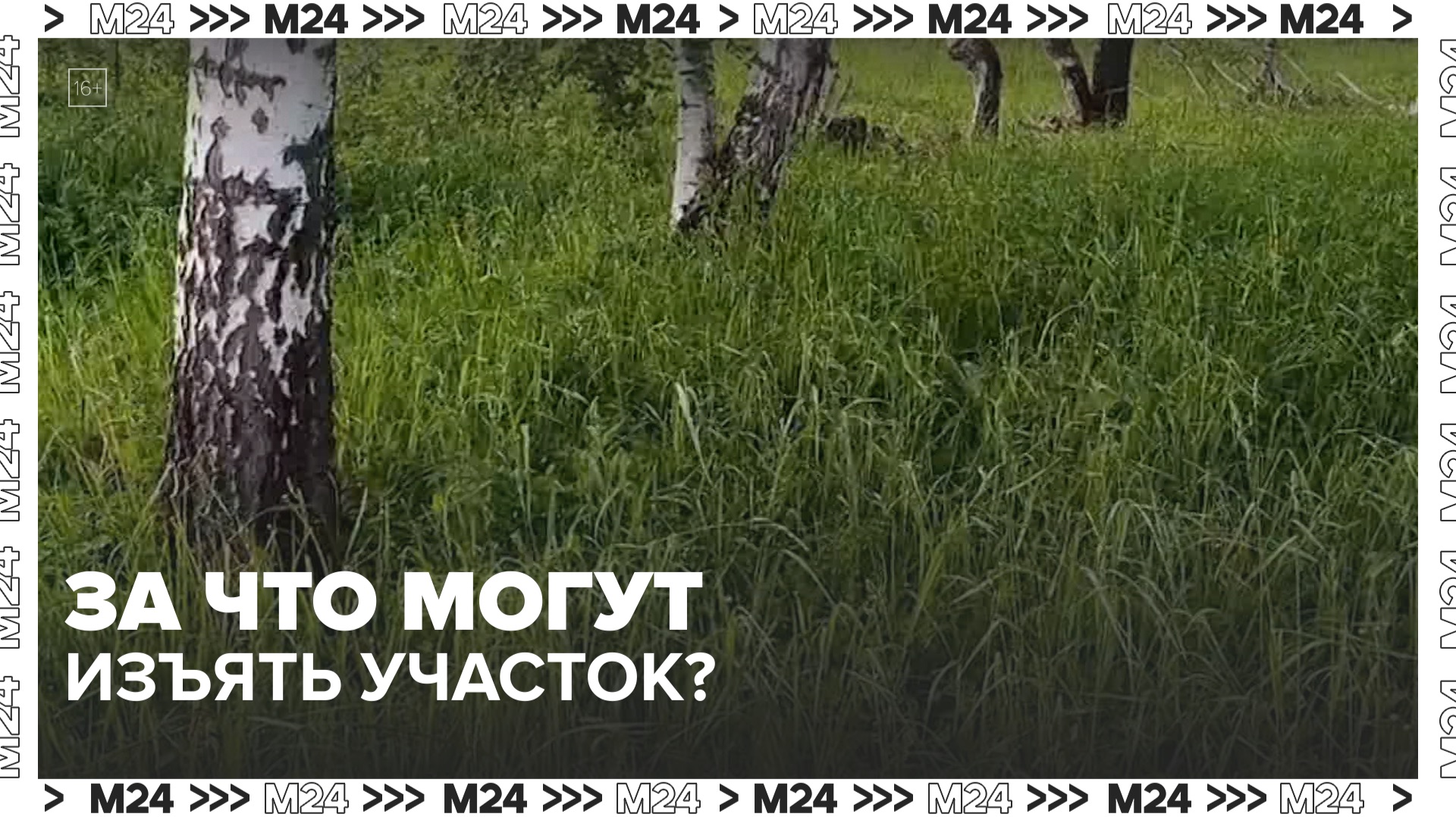За что могут изъять участок? — Москва 24