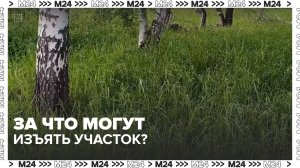 За что могут изъять участок? — Москва 24