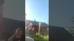 игра в угадай число