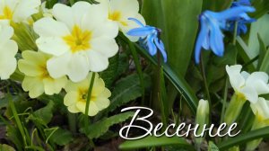 Весеннее.