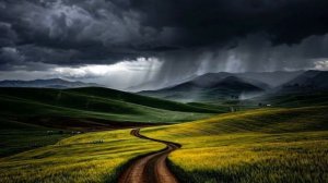 Scent of Rain ｜ Cinematic Ambient Guitar Music for Relaxation, Focus and Deep Atmosphere