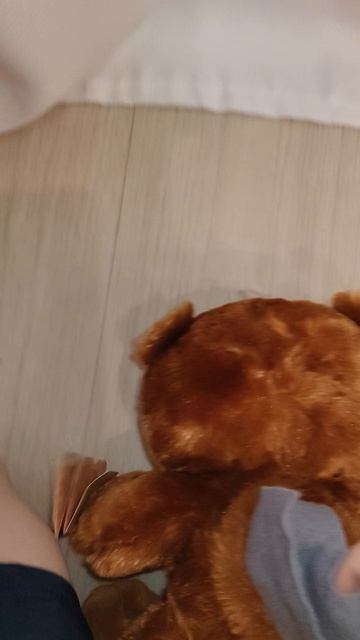 медвежонок трям смотреть онлайн