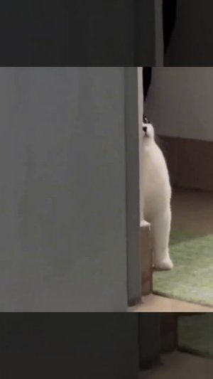 Меня что не видно?