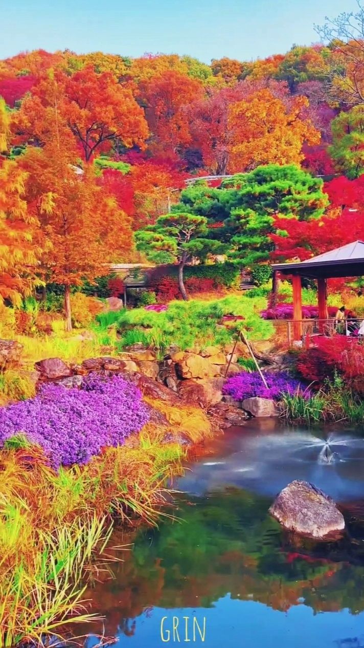 Безумные цвета Кореи🍁🍀🍂