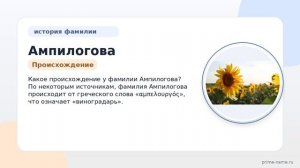 Фамилия Ампилогова: происхождение, значение и склонение