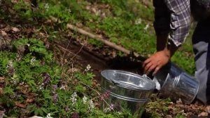 Готовим  весенние блюда из свежих ингредиентов.