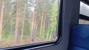 Вид из окна 🌳🌲🚉🚊