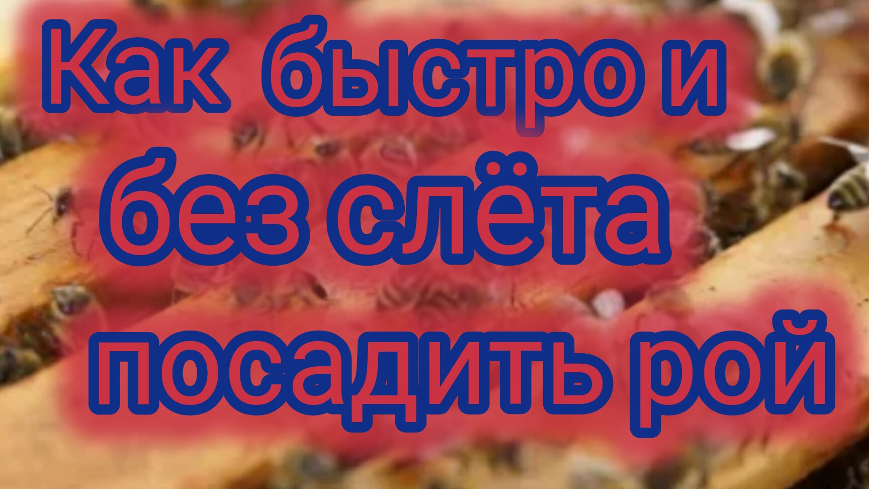 Как быстро и без слёта посадить рой 🐝 смотреть онлайн
