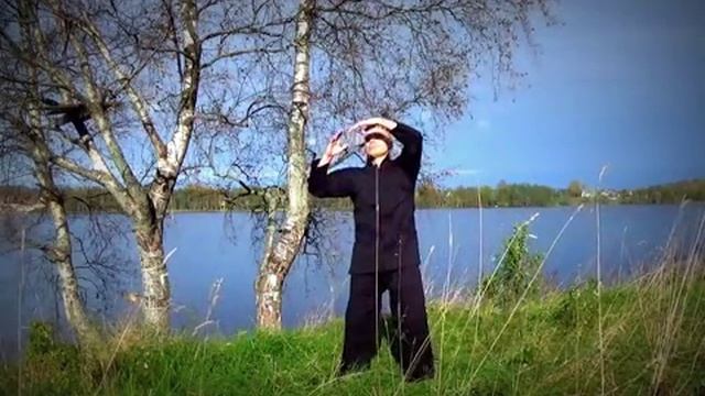 Цигун - 5 первостихий.