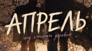Апрель, старое дерево