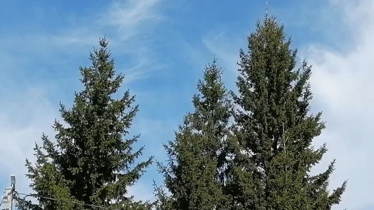 Здравствуй, ЛЕТО! смотреть онлайн