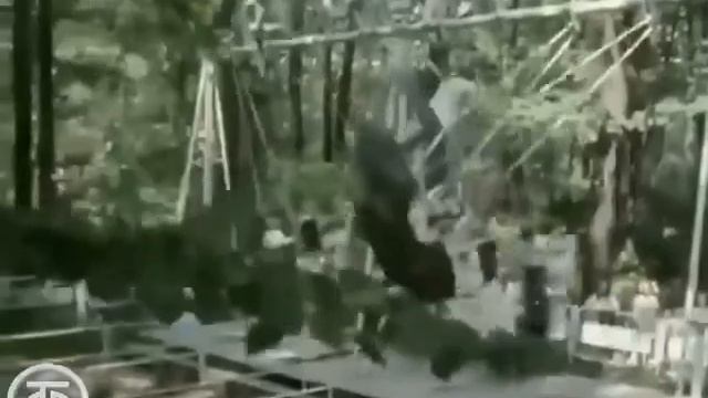 КАЧЕЛИ 1 смотреть онлайн