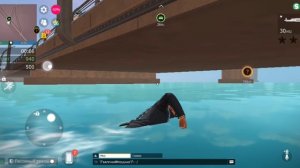 SVID_20260531_161238_1.mp4