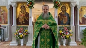 Святая Троица: сила, которую Господь дал каждому. Отец Игорь Бачинин