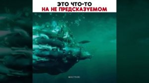 что за мульт?
