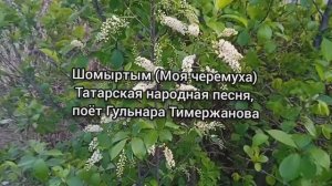 «Өй артында шомыртым бар» (Моя черемуха), татарская народная песня, поёт Гульнара Тимержанова