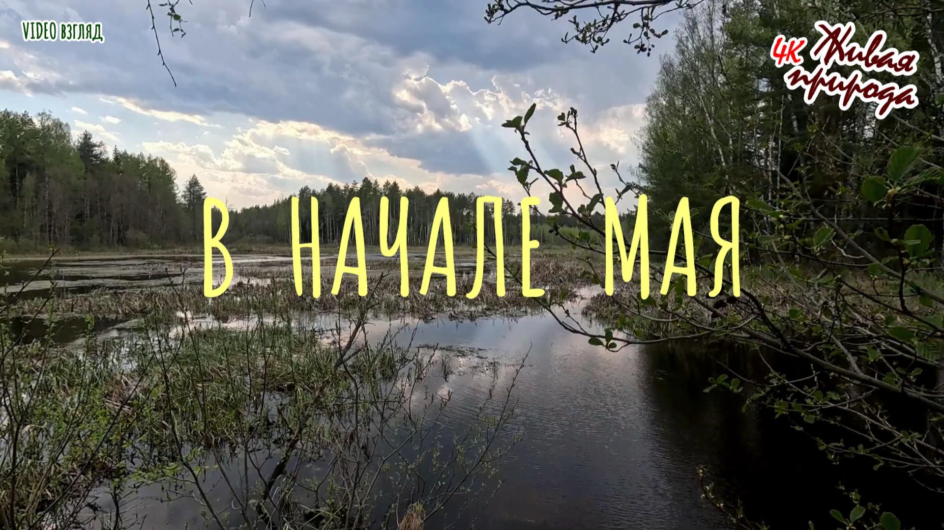 В начале мая смотреть онлайн