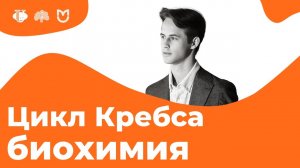 ЦИКЛ КРЕБСА (ЦТК) за 14 МИНУТ! // На Биохимическом