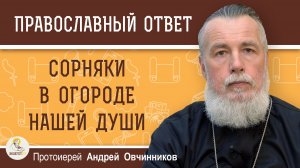 СОРНЯКИ В ОГОРОДЕ НАШЕЙ ДУШИ.  Протоиерей Андрей Овчинников