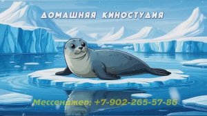 Детская видеопрезентация на день рождения в стране сказок из фото