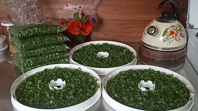 заготовка зелёного лука на зиму!!! смотреть онлайн