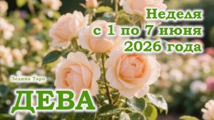 ДЕВА | ТАРО прогноз на неделю с 1 по 7 июня 2026 года