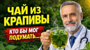 40 лет боролся с крапивой, а потом узнал её главный секрет