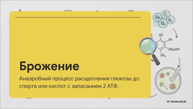 Биология 10 класс § 22 Энергетический обмен в клетке Гликолиз и окислительное фосфорилирование
