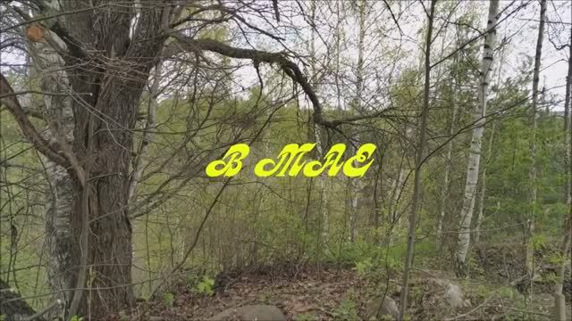 В МАЕ