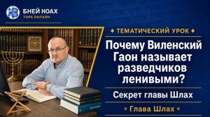 Почему Виленский Гаон называет разведчиков ленивыми? Секрет главы Шлах