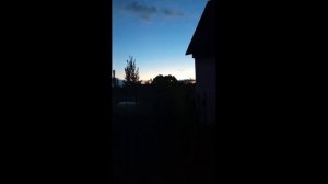 91174.mp4